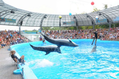 В Одессе открыт уникальный пятизвездочный отель с дельфинами